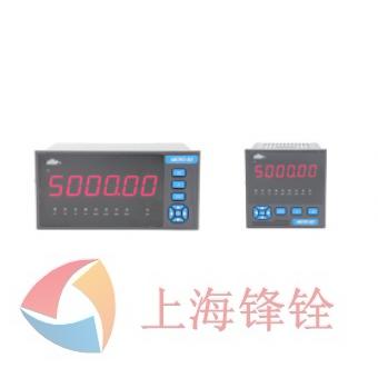 DY5000(RB)系列測(cè)力顯示儀表