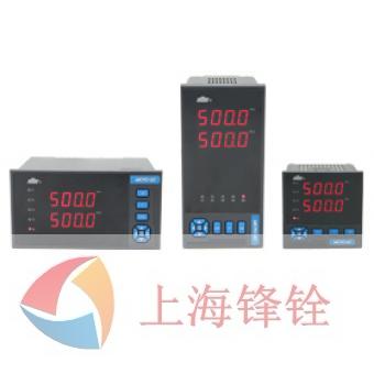 DY5000(WE)系列雙通道全分度號顯示儀表