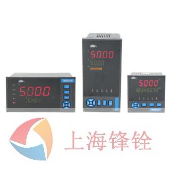 DY5000(Z)系列數(shù)字顯示儀表