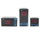 DY5000(WE)系列雙通道全分度...