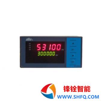 東輝儀表DY2000（MS）多功能計數(shù)器